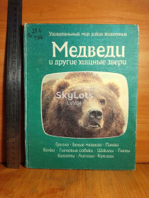 Видання - р. Издания - гг. ^/--/^ Серия Удивительный мир диких животных. Медведи и другие хищные звери. Альбом. Ув формат ^_^^^ Дивовижний світ диких тварин. Ведмеді та інші хижі звірі. Альбом. У форматі - фото фото фото