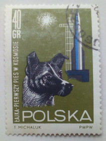Польща Польша ^/--/^ Польша 1964 Космос, лайка, 40 /--/ Gr, гашеная ^_^^^ Польща 1964 Космос, лайка, 40 /--/ Gr, гашена - фото фото фото
