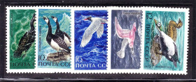 СРСР - СССР - ^/--/^ СССР 1972 г  MNH - фауна - птицы ^_^^^ СРСР 1972 MNH - фауна - птахи - фото фото фото