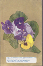 Америка Америка ^/--/^ США 1911 БУКЕТ ЦВЕТЫ АНЮТИНЫ ГЛАЗКИ РАСТЕНИЯ ФЛОРА ПОЧТА СТАНДАРТ ДОКУМЕНТ ПОЗДРАВИТЕЛЬНАЯ ПК ^_^^^ США 1911 БУКЕТ КВІТИ АНЮТИНИ ГЛАЗКИ РОЗВИТКУ ФЛОРА ПОШТА СТАНДАРТ ДОКУМЕНТ ПОЗДІЙНА ПК - фото фото фото