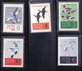 СРСР - СССР - ^/--/^ ZM  СССР 1962 г MNH - фауна - птицы ^_^^^ ZM СРСР 1962 р MNH - фауна - птахи - фото фото фото