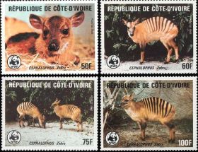 Фауна Фауна ^/--/^ фауна Кот-д&amp;apos;Ивуар -1985 wwf, антилопа      (кц 55 /--/ е) ^_^^^ фауна Кот-д&amp;apos;Івуар -1985 wwf, антилопа (кц 55 /--/ е) - фото фото фото