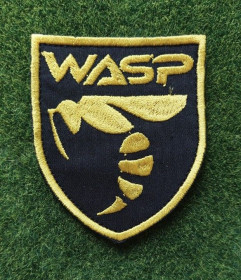 Інше Другое ^/--/^ Шеврон подразделения БПЛА WASP. Украинский легион ВСУ № 1501 ^_^^^ Шеврон підрозділу БПЛА WASP. Український легіон ЗСУ No 1501 - фото фото фото
