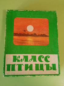 Інше Другое ^/--/^ Учебно-игровой материал по зоологии &amp;quot;КЛАСС ПТИЦЫ&amp;quot;.  СССР.  Полный комплект. ^_^^^ Навчально-ігровий матеріал по зоології &amp;quot; КЛАС ПТІЦЫ&amp;quot; СРСР. Повний комплект. - фото фото фото