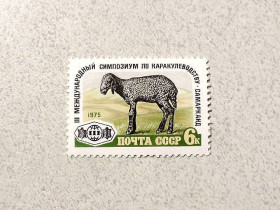 СРСР - СССР - ^/--/^ Поштова марка СССР &amp;quot; III Міжнародний симпозіум по каракулівництвом Самарканд &amp;quot; 1975 рік ** ^_^^^ Почтовая марка СССР &amp;quot; III Международный симпозиум по каракуловничеству Самарканд &amp;quot; 1975 год ** - фото фото фото