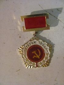 Медалі СРСР Медали СССР ^/--/^ Медаль "Ветеран труда" ВНИИОМШС ^_^^^ Медаль "Ветеран праці" ВНДІОМШС - фото фото фото