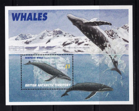 Фауна Фауна ^/--/^ Фауна  БАТ / BAT 1996 г MNH - киты - блок ^_^^^ Фауна БАТ / BAT 1996 MNH - кити - блок - фото фото фото
