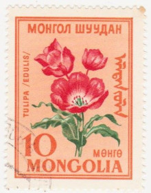Монголія Монголия ^/--/^ Монголия 1960 г. № 186 гашеная ^_^^^ Монголія 1960 р. No 186 гашена - фото фото фото