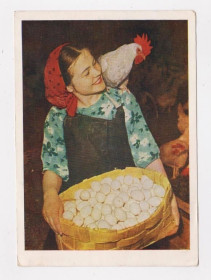 СРСР СССР ^/--/^ ПТИЧНИЦА = листівка 1956 р. = РЮМКИН = чиста = тираж 100 тис. ^_^^^ ПТИЧНИЦА = открытка 1956 г. = РЮМКИН = чистая = тираж 100 тыс. - фото фото фото