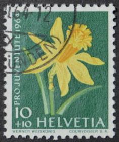 Інше Другое ^/--/^ Швейцария Флора Цветы Нарцисс 1964 ^_^^^ Швейцарія Флора Квіти Нарцис 1964 - фото фото фото