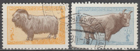 Фауна Фауна ^/--/^ Монголия Монголія 1958 фауна ^_^^^ Монголия Монголия 1958 фауна - фото фото фото
