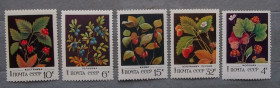 Флора Флора ^/--/^ СССР 1982 г - Дикорастущие ягоды, негаш ^_^^^ СРСР 1982 — Дикорослі ягоди, негаш - фото фото фото