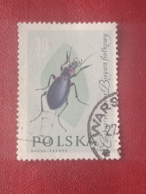 Польща Польша ^/--/^ Распродажа, Польша ^_^^^ Розпродаж, Польща - фото фото фото