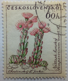 Чехословаччина Чехословакия ^/--/^ Чехословакия 1960 Цветы, 60 /--/ h, гашеная ^_^^^ Чехословаччина 1960 Квіти, 60 /--/ h, гашена - фото фото фото