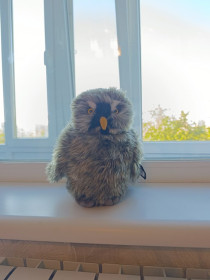 Інше Другое ^/--/^ Коллекционная сова Сычик Гарри Поттер Pigwidgeon Owl plush Harry Potter WB Studio Tour ^_^^^ Гаррі Поттер Pigwidgeon Owl plush Harry Potter WB Studio Tour - фото фото фото