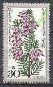 НДР, ФРН ГДР, ФРГ ^/--/^ Берлин 1975 Рождество флора религия 1 /--/ м. ^_^^^ Берлін 1975 Різдво флора релігія 1 /--/ м. - фото фото фото