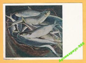 СРСР СССР ^/--/^ 1968 РЫБАЛКА Море РЫБОЛОВ Флот РЫБА Худ. МИНЬЯР ^_^^^ 1968 — Рибалка Море рибалок Флот Риба Худ. Міньяр - фото фото фото