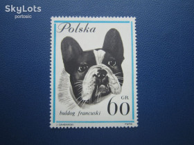 Фауна Фауна ^/--/^ Марка Польща 1963 фауна собака французський бульдог MNH ^_^^^ 1963 — фауна собака французький бульдог MNH - фото фото фото