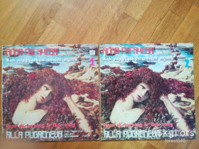 Платівки Пластинки ^/--/^ Алла Пугачева-Как тревожен этот путь  (12)-2 LPs-VG+, Мелодія ^_^^^ Алла Пугачева-Как тревоженный этот путь (12)-2 LPs-VG+, Мелодия - фото фото фото