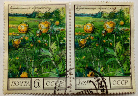 СРСР - СССР - ^/--/^ СССР 1975 Цветы, купальница европейская, сцепка, гашеная ^_^^^ СРСР 1975 Квіти, купальниця європейська, зчіпка, гашена - фото фото фото