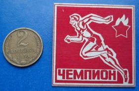 Спортивні Спортивные ^/--/^ пионерский лагерь чемпион бег ^_^^^ піонерський табір чемпіон біг - фото фото фото