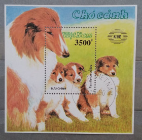 Фауна Фауна ^/--/^ Вьетнам 1990 г - Международная выставка почтовых марок &amp;quot;Новая Зеландия &amp;apos;90&amp;quot;. Колли ^_^^^ В'єтнам 1990 р - Міжнародна виставка поштових марок &amp;quot; Нова Зеландія &amp;apos;90 &amp;quot; Коллі - фото фото фото