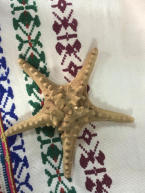 Статуетки, Скульптури, Фігурки, Фарфор Статуэтки, Скульптуры, Фигурки, Фарфор ^/--/^ (S) Морська зірка  (S) ^_^^^ (S) Морская звезда (S) - фото фото фото