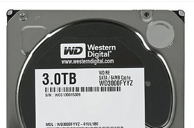 Жорсткі диски Жесткие диски ^/--/^ продам  -  3 /--/ Tb  - WD 3000 /--/ FYYZ   - для  серверу  чи ПК          ( -  SATA )  3000 /--/ Gb ^_^^^ WD 3000 /--/ Gb 3 /--/ Tb - фото фото фото