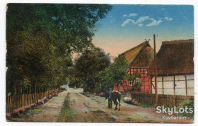 Іноземні Иностранные ^/--/^ Поштівка Село із коровами. FeldPost-203. 1917 р. ^_^^^ Село с коровами. FeldPost-203. 1917 г. - фото фото фото