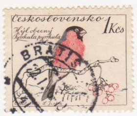 Чехословаччина Чехословакия ^/--/^ Чехословакия 1959 г №  1165 гашеная ^_^^^ Чехословаччина 1959 р. No 1165 гашена - фото фото фото