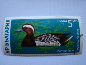 Інші країни Другие страны ^/--/^ Болгария, Михель 2009  (Юговост. Европа), 2477, Водоплавающие птицы. ^_^^^ Болгарія, Міхель 2009 (Південна Європа), 2477, Водоплавні птахи. - фото фото фото