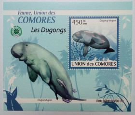 Комори Коморы ^/--/^ Коморские острова, Коморы 2009 Дюгонь, морская фауна, блок, MNH  (КЦ=11 евро) (IV) ^_^^^ Коморські острови, Комори 2009 Дюгонь, морська фауна, блок, MNH (КЦ = 11 євро) (IV) - фото фото фото