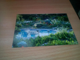 Іноземні Иностранные ^/--/^ Фотооткрытка &amp;quot;Сад у моря, Прованс&amp;quot; (Англия) ^_^^^ Фотовідкритка &amp;quot;Сад біля моря, Прованс &amp;quot; (Англія) - фото фото фото