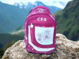 Рюкзаки Рюкзаки ^/--/^ Рюкзак спортивный женский  CFS бардовый ^_^^^ спортивний жіночий CFS бардовий - фото фото фото