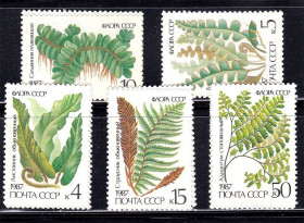 СРСР - СССР - ^/--/^ СССР  1987 г   MNH -  флора ^_^^^ СРСР 1987 MNH - флора - фото фото фото