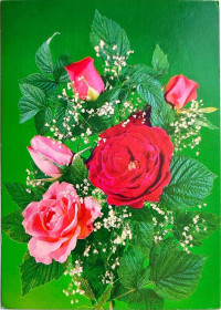 СРСР СССР ^/--/^ Открытка. Фото И. Дергилева. Министерство связи СССР 1987 /--/ г Цветы. Розы. Чистая. ^_^^^ листівка. Фото І.Дергілева. Міністерство зв'язку СРСР 1987 Цвєти. Рози. Чистий. - фото фото фото