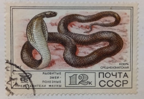 СРСР - СССР - ^/--/^ СССР 1977 Фауна, змеи, кобра среднеазиатская, гашеная (I) ^_^^^ СРСР 1977 Фауна, змії, кобра середньоазіатська, гашена (I) - фото фото фото