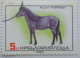 Балканський півострів Балканский полуостров ^/--/^ Болгария 1980 Лошади, 5 /--/ St., гашеная ^_^^^ Болгарія 1980 Коня, 5 /--/ St., гашена - фото фото фото