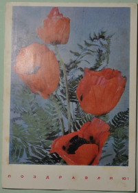 Інше Другое ^/--/^ СССР Открытка Поздравляю 1969 ^_^^^ СРСР Поздоровляю 1969 - фото фото фото
