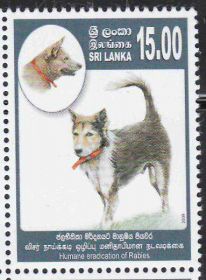 Шрі-Ланка Шри-Ланка ^/--/^ Шри-Ланка 2009 ФАУНА СОБАКА МЛЕКОПИТАЮЩЕЕ ЖИВОТНОЕ ЛЕЧЕНИЕ БОЛЕЗНИ ВЕТЕРИНАРИЯ МЕДИЦИНА 1 м** MNH ^_^^^ Шрі-Ланка 2009 Фауна Собака Млекопитаюче тваринне лікування хвороби ветеранія Медицина 1 м** MNH - фото фото фото