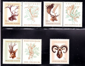 Фауна Фауна ^/--/^ Фауна . Венгрия 1965 г  MNH - ^_^^^ Фауна . Угорщина 1965 р MNH - - фото фото фото