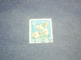 Флора Флора ^/--/^ Новая Зеландия-1960 г.-Цветы ^_^^^ Нова Зеландія-1960 р.-Квіти - фото фото фото