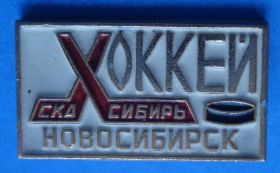 Спортивні Спортивные ^/--/^ СКА Сибирь хоккей Новосибирск ^_^^^ СКА Сибір хокей Новосибірськ - фото фото фото