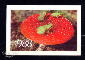 Календарі Календари ^/--/^ KA Календар 1988 р. Гриб Мухомор ^_^^^ KA Календарь 1988 г. Гриб Мухомор - фото фото фото