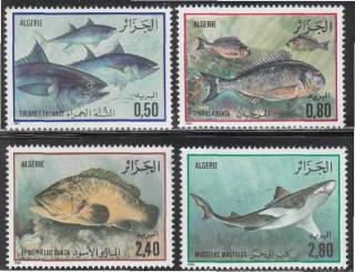 Алжир Алжир ^/--/^ Алжир 1985 МОРСКАЯ ФАУНА МОРСКИЕ РЫБЫ ИХТИОЛОГИЯ ОКЕАН ПОДВОДНЫЙ МИР ПРИРОДА Mi.873-876** MNH $8.17 ^_^^^ Алжир 1985 МОРСЬКА ФАУНА РИБИ ІХТІОЛОГІЯ ОКЕАН ПІДВОДНИЙ СВІТ Mi.873-6** EUR 8.00 MNH - фото фото фото
