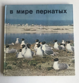 Видання - р. Издания - гг. ^/--/^ Фотоальбом В мире пернатых.  Костин Ю. В., Сиохин В. Д., Лукьяница М. М. 1983 г. ^_^^^ Фотоальбом у світі пернатих. Костин Ю. В., Сіохін В. Д., Лук'яниця М. М. 1983 р. - фото фото фото