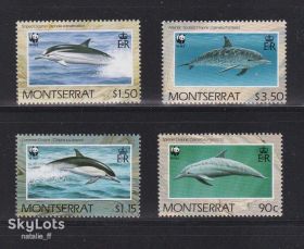 Фауна Фауна ^/--/^ NM Фауна . Монсеррат  1990 г MNH - WWF - ^_^^^ NM Фауна . Монсеррат 1990 MNH - WWF - фото фото фото