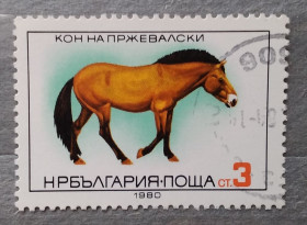 Фауна Фауна ^/--/^ Болгария 1980 г - Лошадь Пржевальского, гаш ^_^^^ Болгарія 1980 — Кінь Пржевальського, гаш - фото фото фото