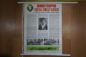 Інше Другое ^/--/^ плакат сила соревнования хмельницкий 1973 №8151 ^_^^^ плакат сила змагання Хмельницький 1973 No /--/ 8151 - фото фото фото