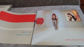 Платівки Пластинки ^/--/^ Robert Plant  (Led Zeppelin) - Pictures At Eleven. японский промо винил ^_^^^ Robert Plant (Led Zeppelin) - Pictures At Eleven. японський промо вініл - фото фото фото